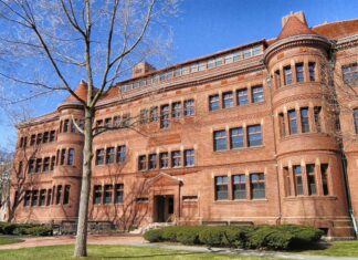 5 Best College Majors for a Lucrative Career