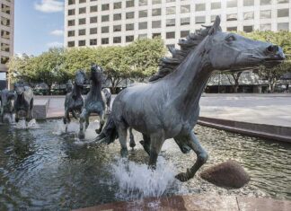 The 38-Year-Old Frat Boy