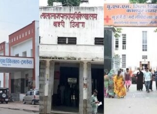 कानपुर में होली का खौफनाक असर! केमिकल रंग और सड़क हादसों में 119 घायल