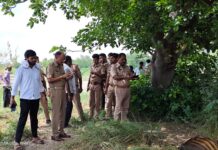 कौशांबी में गोवंशों के अवशेष मिलने से मचा हड़कंप, हिंदू संगठनों ने जताई गौहत्या की आशंका