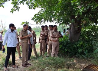 कौशांबी में गोवंशों के अवशेष मिलने से मचा हड़कंप, हिंदू संगठनों ने जताई गौहत्या की आशंका