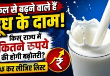 दूध के दाम बढ़ने से बढ़ेगा आम आदमी की जेब पर बोझ, मुंबई में 1 सितंबर से ₹9 प्रति लीटर महंगा होगा थोक दूध