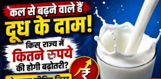 दूध के दाम बढ़ने से बढ़ेगा आम आदमी की जेब पर बोझ, मुंबई में 1 सितंबर से ₹9 प्रति लीटर महंगा होगा थोक दूध