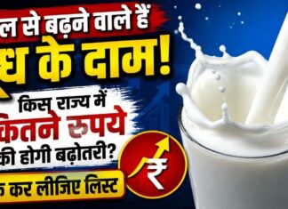 दूध के दाम बढ़ने से बढ़ेगा आम आदमी की जेब पर बोझ, मुंबई में 1 सितंबर से ₹9 प्रति लीटर महंगा होगा थोक दूध