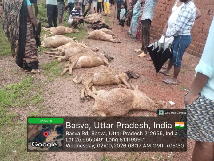 WhatsApp Image 2026-09-02 at 7.07.24 PM