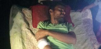 फतेहपुर में सड़क पार कर रही नीलगाय से टकराया ई-रिक्शा, चालक घायल
