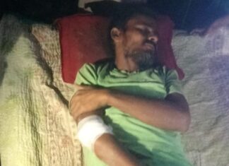 फतेहपुर में सड़क पार कर रही नीलगाय से टकराया ई-रिक्शा, चालक घायल